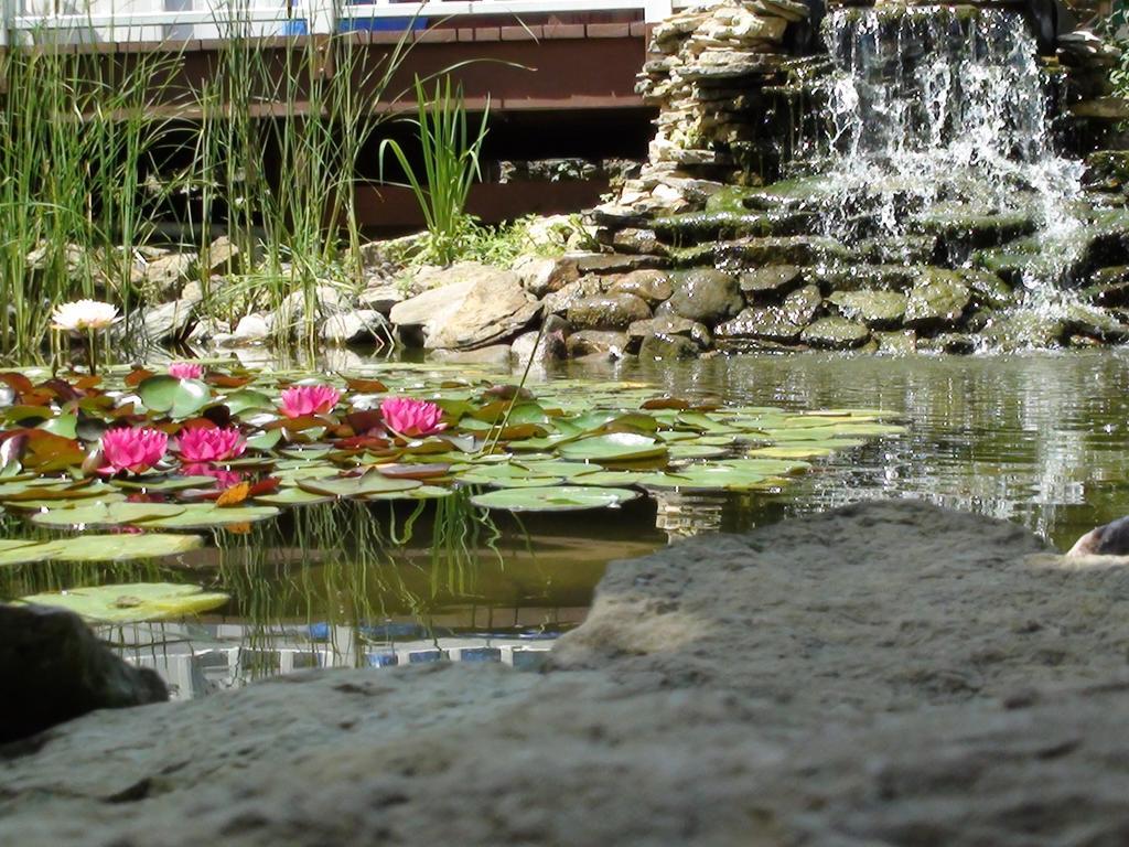 Marquette Trickling Waters Retreatヴィラ エクステリア 写真